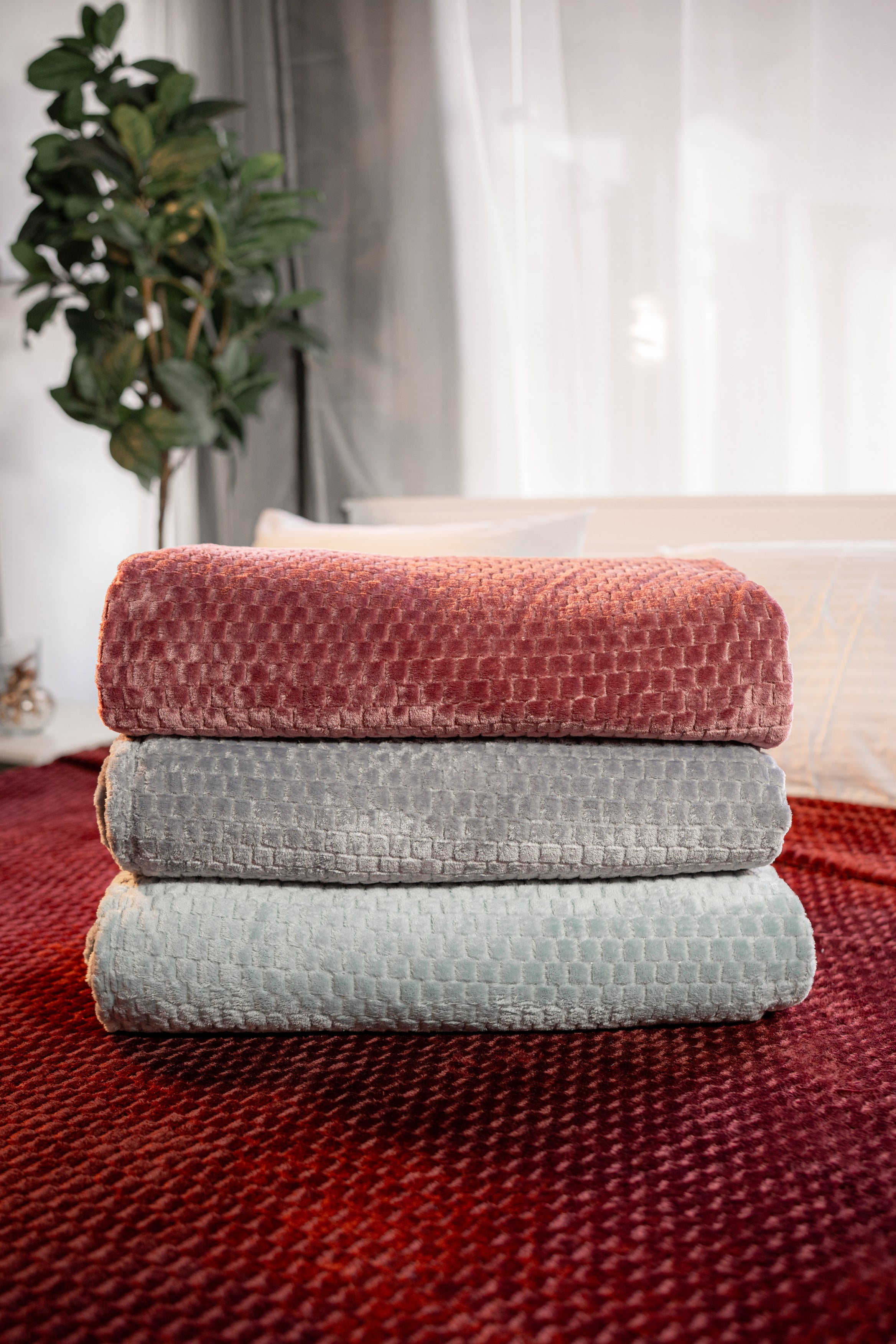 2-Pack Light Blanket Bundle – Al Masa Linens
